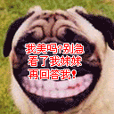 生日快乐少女动漫表情包3