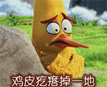 熊猫祝福表情包7
