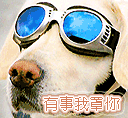 表情包沙雕哭5