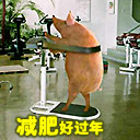 大嘴青蛙表情包2
