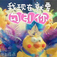 手机中qq中存的表情在哪11