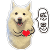 开门微信表情7