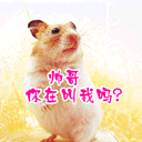头像动漫伤心表情包11