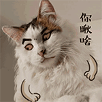 春节回家搞笑表情包5