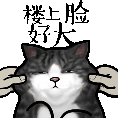爱情和婚姻的表情9