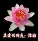 妈妈生气表情画图片大全集10