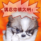 五一节日表情图片大全1