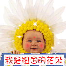 安卓 表情包6