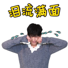 小仙女表情包图片2