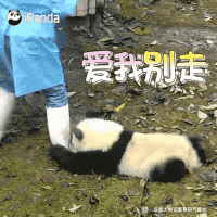 qq 大表情8