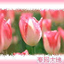 国字脸搞笑表情11
