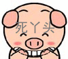 皮友常用表情包13