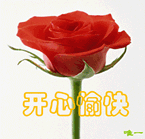 美女立体画法5
