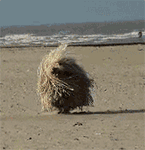 吴镇宇动态表情包 gif3