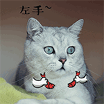 小姐姐表情搞怪6