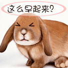 恶搞表情包小女孩笑8