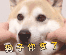 有关凌晨的微信表情包5