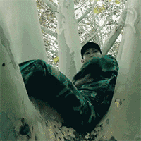 调皮表情包gif4
