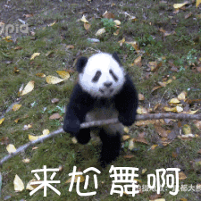 qq表情害羞是哪个8