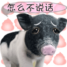 声音表情作文12