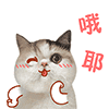 我生气了表情包动态1