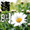 头条小冰恶搞表情包4