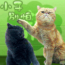 金熊猫馆长搞笑表情3