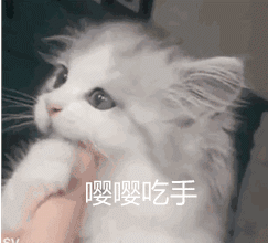 精选12组道歉的搞笑表情7