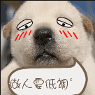 推荐10张经典的苹果表情包9