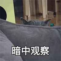 呼叫亲爱的文字表情包2