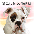 微信圣诞祝福表情符号6