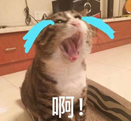 文字表情大图2