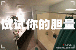 女交警节假日恶搞表情包1