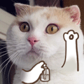 猪年微信新年祝福语表情8