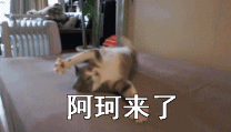 表情包哭笑是什么意思10