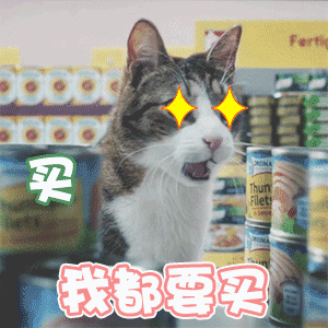 摆出讨厌的表情型相关的动漫有哪些8