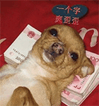 女子搞怪表情包动图可爱7