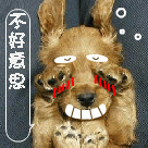 道歉时你是什么表情6