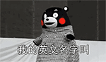 建立的表情20229