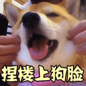 累瘫表情包图片大全2