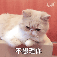 表情包明星帅哥9