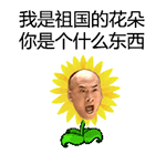 微信表情为啥没有捂脸3