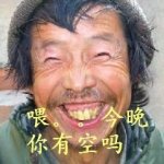 10组好好的文字表情6