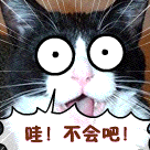 我的沙雕时光表情包3