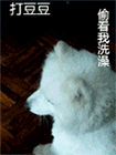 原神里的表情包7