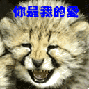 卖菜搞笑表情图9