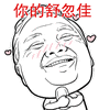 群色之支配者表情包12