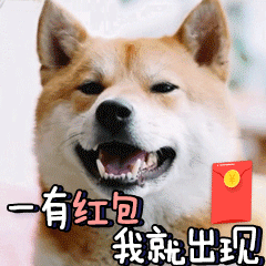 祝福康复表情包图片大全集9