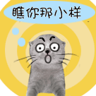 手指向下指的动态表情包5