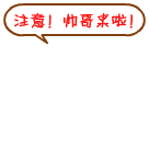 调侃拿着饭勺拍苍蝇表情包3
